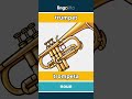trumpet - trompeta video thumbnail