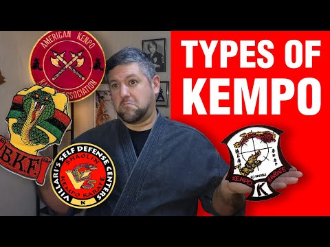 Different Types of Kempo | ART OF ONE DOJO