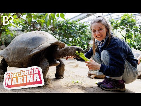 Der Tierpark-Check | Reportage für Kinder | Checkerin Marina | BR