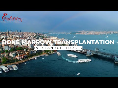 Discovering Premier Bone Marrow Transplants in Istanbul, Turkey