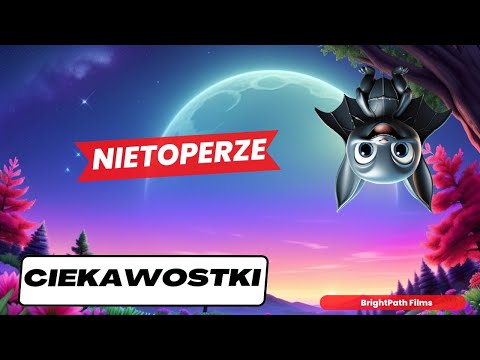 NIETOPERZE. Ciekawostki o nietoperzach. Film dla dzieci. #ciekawostki #brightpathfilms