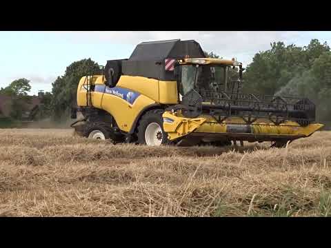 Vermeersh: Maaidorsen. NH CX780. @2023. Loonwerkersinbelgie.