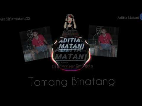 TAMANG BINATANG - AditiaMtani - SIMPLE HYBRID