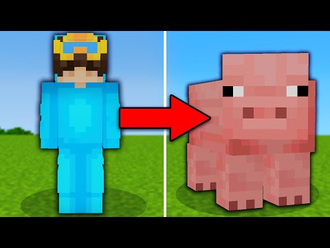 I Pranked My Friend With The Morph Mod in Minecraft!
