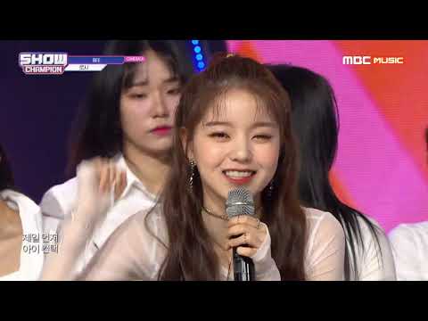 Show Champion EP.319 Rothy -  BEE