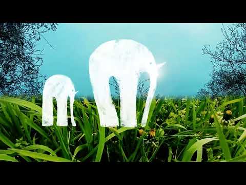 Imbriani Erika: Showreel | Best of METU diploma 2024 | Animáció BA | METU