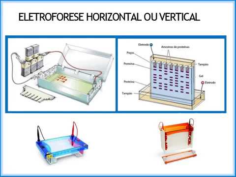 Biologia Molecular Aplicada (Biomedicina) CESMAC - Aula 7 - ELETROFORESE DE DNA RNA E PROTEINAS