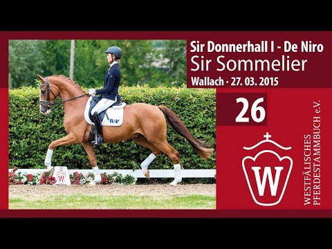 26 Sir Sommelier Wallach v. Sir Donnerhall - De Niro