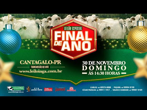 LEILÃO ESPECIAL FIM DE ANO - GADO DE CORTE - CANTAGALO/PR.