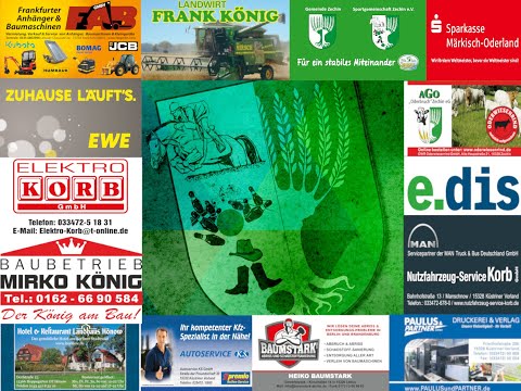 Landesliga Frauen Zechin I - Cottbus I  16.10.2022