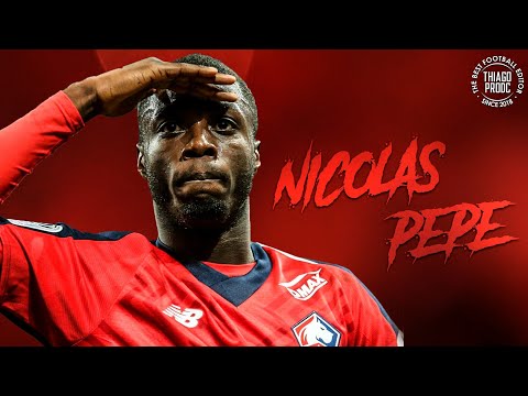 Nicolas Pépé ► LOSC Lille ● Skills & Goals 2019 | HD