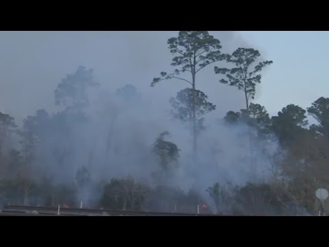 Rolling Pines Fire displaces Bastrop County residents | FOX 7 Austin