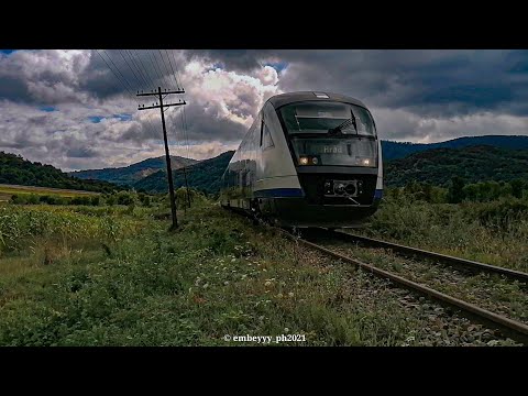 R11304 între Halta Joia Mare și Halta Paulian cu AM DESIRO 96-2117-1 cu un mecanic de treabă!