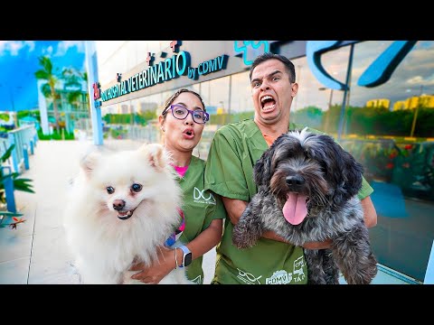 WE BECAME THE OWNERS OF A VETERINARY HOSPITAL! - SO AMAZING!