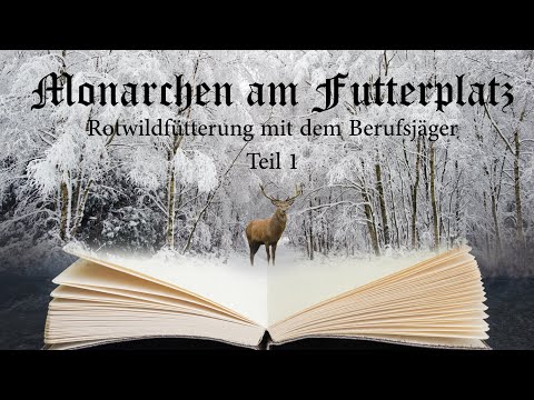 Monarchen am Futterplatz- Rotwildfütterung mit dem Berufsjäger Teil1