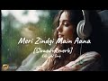 Meri Zindgi Main Aana[slowed+reverb]Lofipupli song! lofi Bollywod lyrics! Lofi cupple song!All2024sg