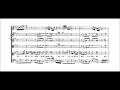 J S Bach Cantata Non Sa Che Sia Dolore BWV 209