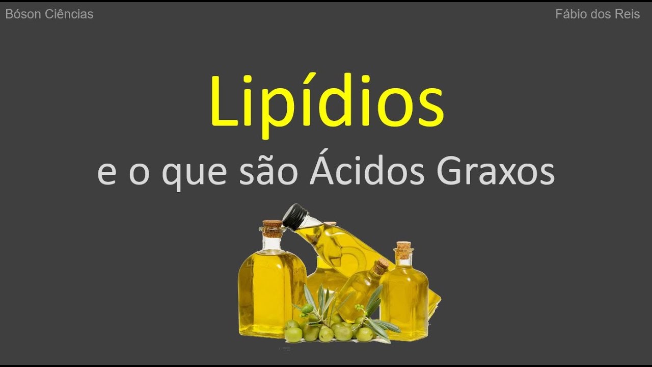 Introdução aos Lipídios e o que são Ácidos Graxos