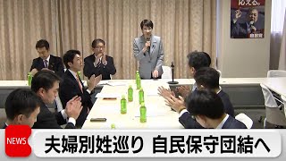 自民保守団結へ　選択的夫婦別姓制度の議論が本格化