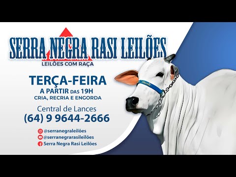 LEILÃO  SERRA NEGRA RASI LEILÕES - PIRACANJUBA - GO | 20 DE JANEIRO 2026