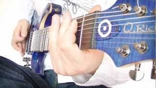 Q.Rich Guitars - 8 string
