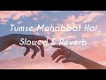 Tumse Mohabbat Hai Slowed Reverb JalRaj Safar Reverbed Soul