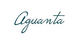 Aguanta Music Video