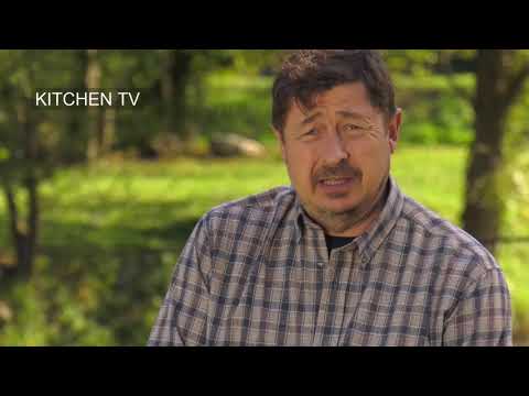 Lovačke priče/Hunting stories - Epizoda:Prepelice na lovački način/ Episode:Quail in a hunters way