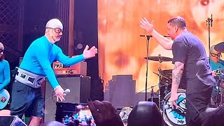 The Aquabats - Playdough! (Featuring Jesse Wagner of The Aggrolites)