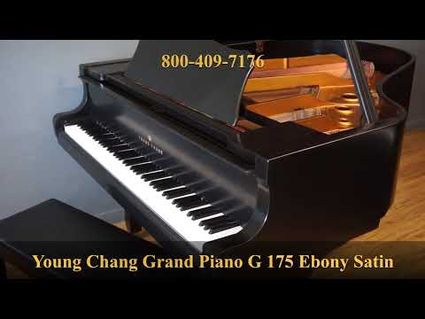 Young Chang G175 Baby Grand Piano Ebony Satin image 9