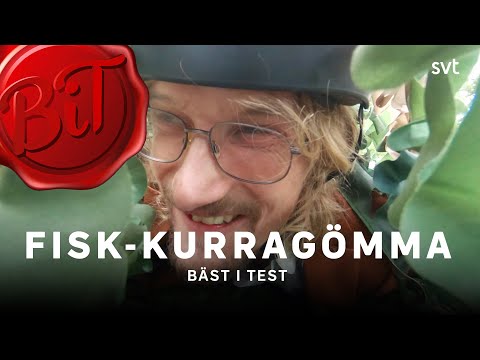 Marcus Berggren gömmer sig bakom rå fisk | Bäst i test 2022 | SVT