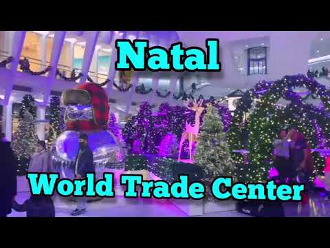 Decoração de Natal linfa no WORLD TRADE CENTER    The enchantment of the christmas lights #shorts