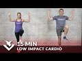 15 Minute Low Impact Cardio Workout for Beginners - Quiet 15 Min Standing Workout with No Jumping