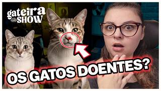 Doenças Mais Comuns em Gatos + Sinais de Alerta | Gateira Live Show #020