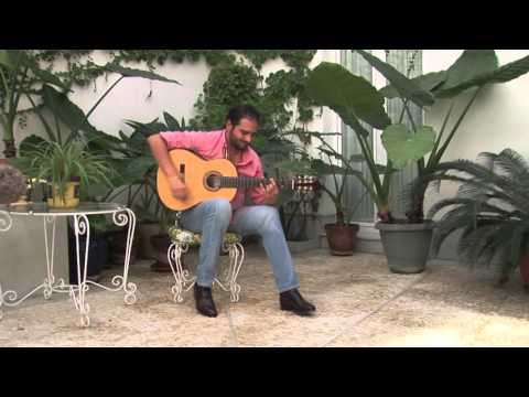 Diego del Morao, flamenco guitarist-partial (ROUGH-PRELIMINAR)