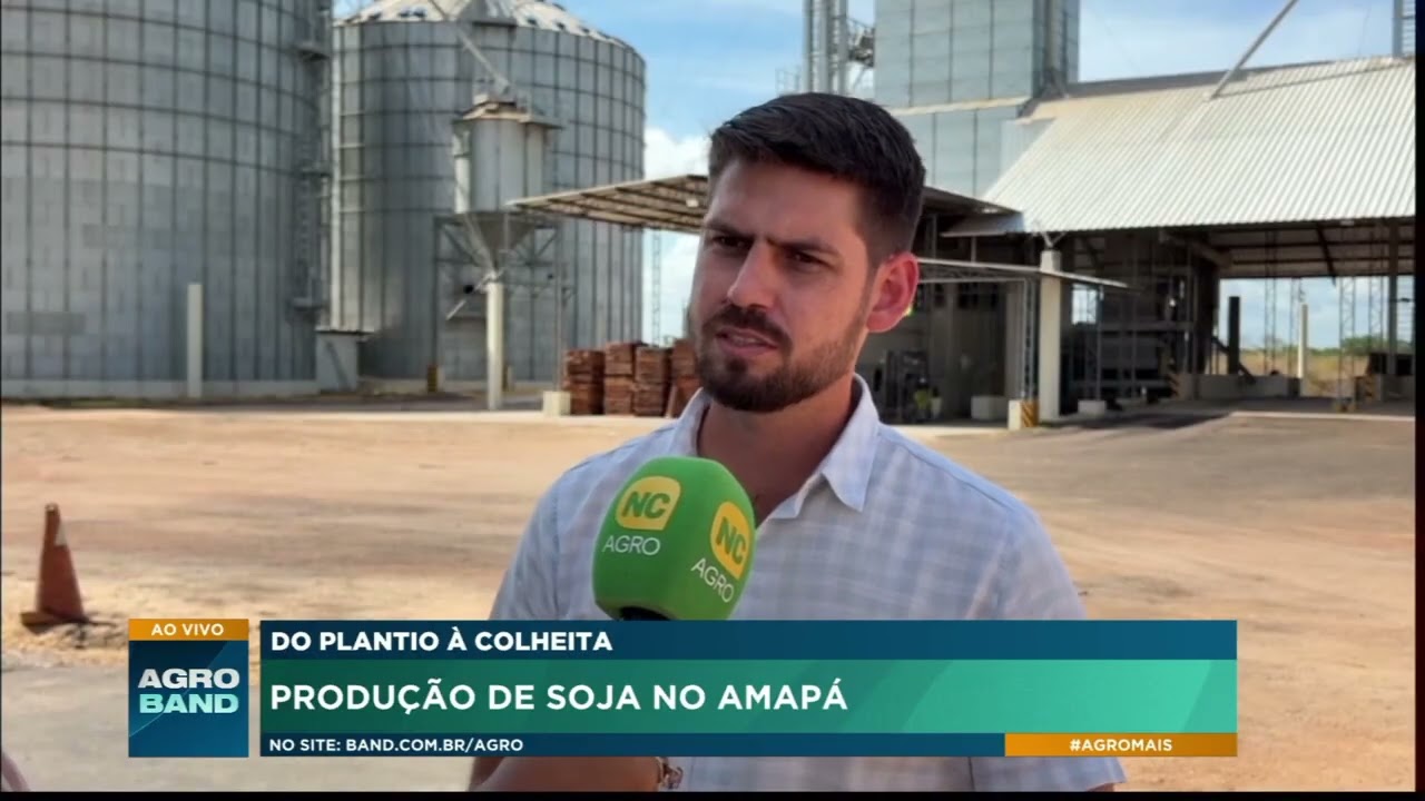 Plantio de soja no Amapá exige cuidados em cada etapa da lavoura