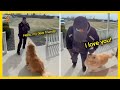 When Delivery Drivers Becomes Friends With Fur Babies