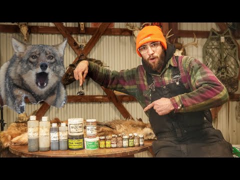 My FAVORITE Baits & Lures For TRAPPING COYOTES! | What I Use On The Trapline