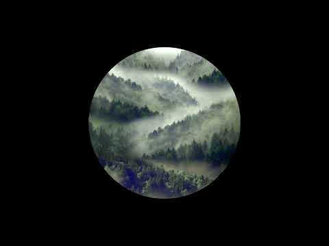 [FREE] La Fève x Alpha Wann x Luther Type Beat : " Forêt Polaire " (prod by @yᴀng)