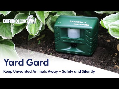 Yard Gard: Humane, Ultrasonic Pest Control for Your Yard