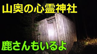 宮崎県の山奥で見つけた心霊神社　兵隊の霊を探しに行ったデンジャーに、今まで感じたことのない異変が…