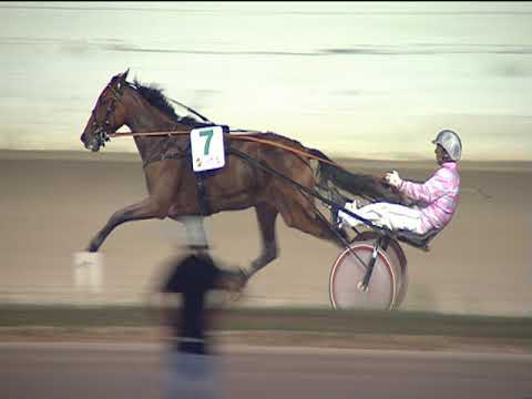 Trotto 22/09/2019 - 8ª corsa - Finale