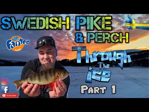 Part 1 - Swedish Pike & Perch Through the Ice Part 1- 2019