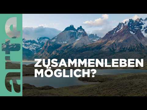 Torres del Paine: Wildes Patagonien | Phänomenale Natur | ARTE Family