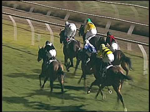 Galoppo 14/01/2017 - 4ª corsa