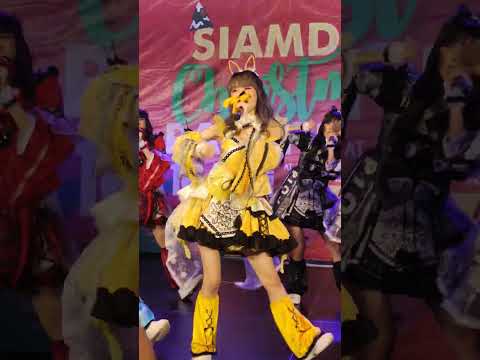Koi wa Kasutera - Castella [Vasa Fancam] @ Siamdol Christmas Party 2022 (25/12/2022)