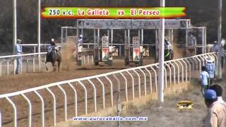 preview picture of video 'Perseo vs Galleta Rancho el Limon'