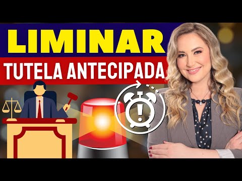 Preliminary injunction / anticipatory relief - What is it for? What happens next in the process?