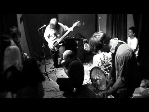 Golden Pelicans at The Peacock Room (Full Set)