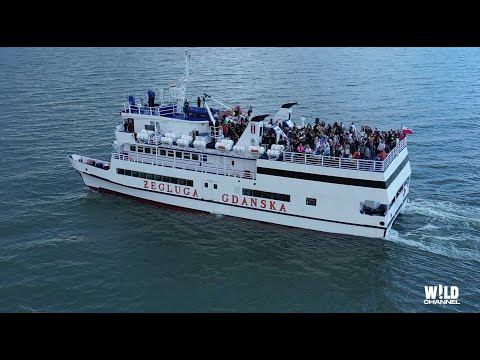 Glasse @ Big Boat Party - 10.07.2022 - Gdynia